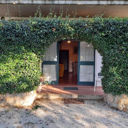 8380 Il Tiglio Verde Manciano Exteriér fotografie