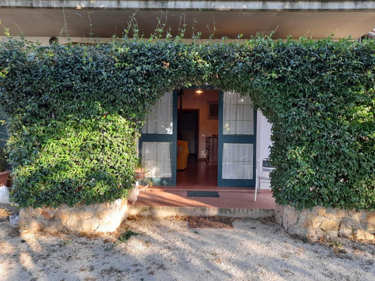 8380 Il Tiglio Verde Manciano Exteriér fotografie