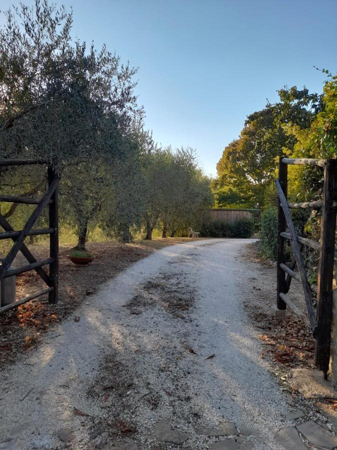 8380 Il Tiglio Verde Manciano Exteriér fotografie