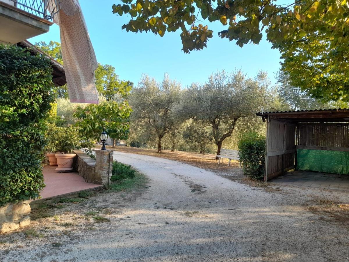 8380 Il Tiglio Verde Manciano Exteriér fotografie