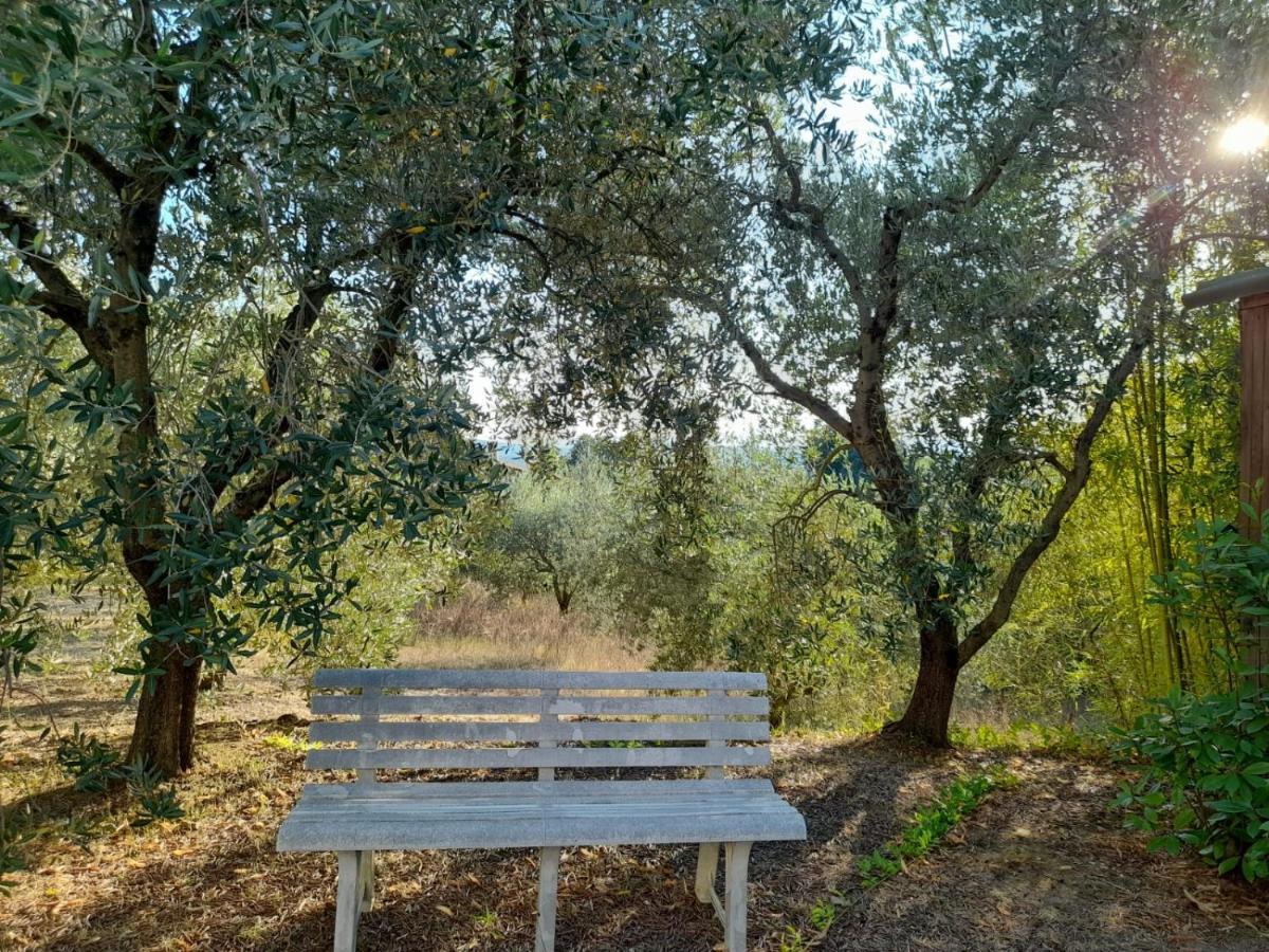 8380 Il Tiglio Verde Manciano Exteriér fotografie