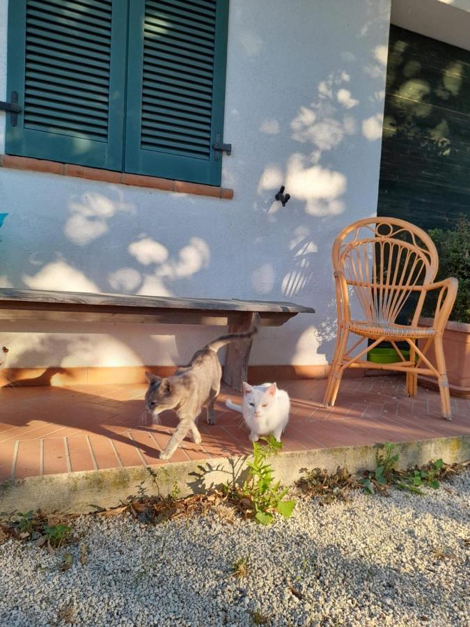 8380 Il Tiglio Verde Manciano Exteriér fotografie