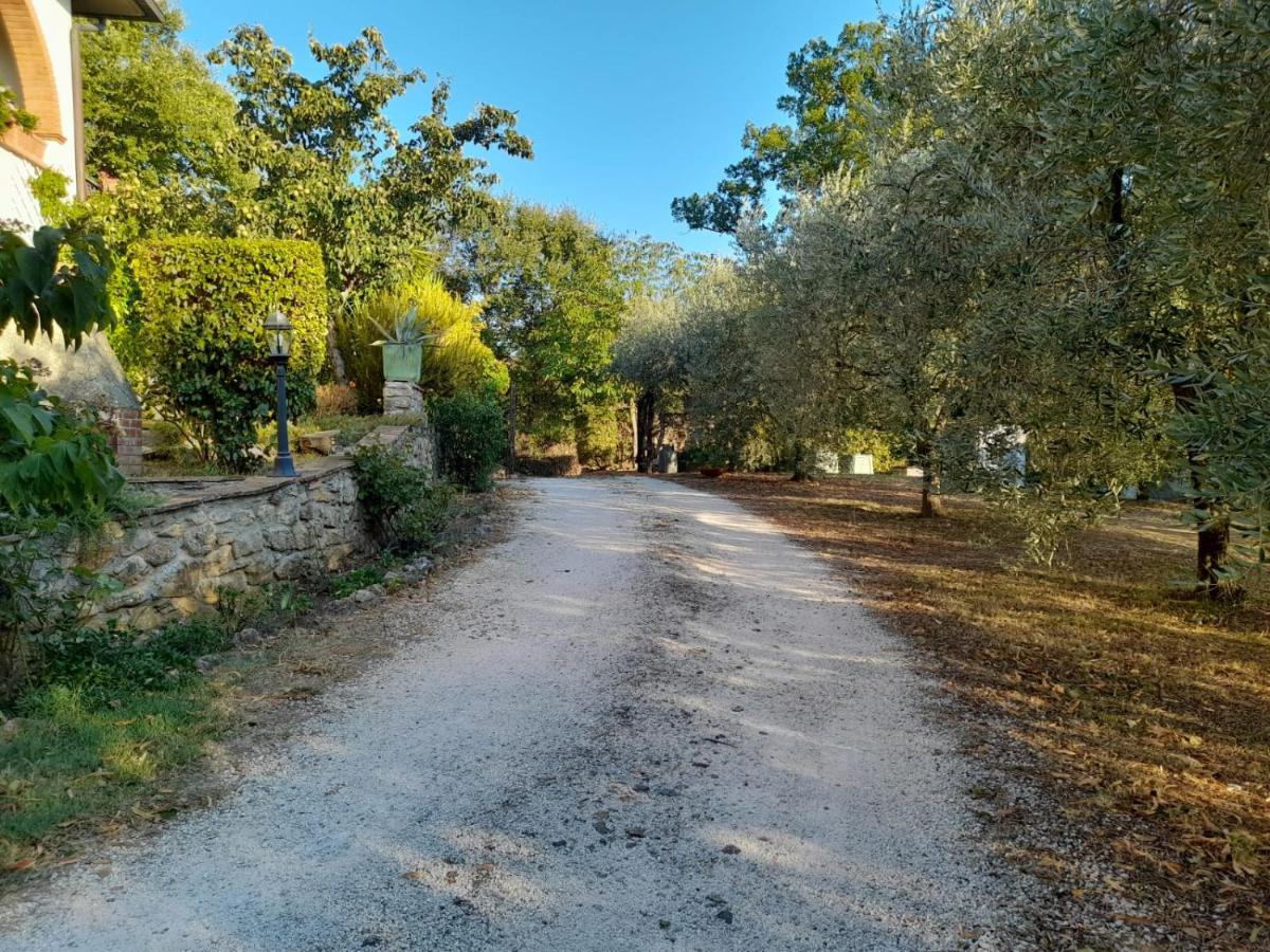 8380 Il Tiglio Verde Manciano Exteriér fotografie