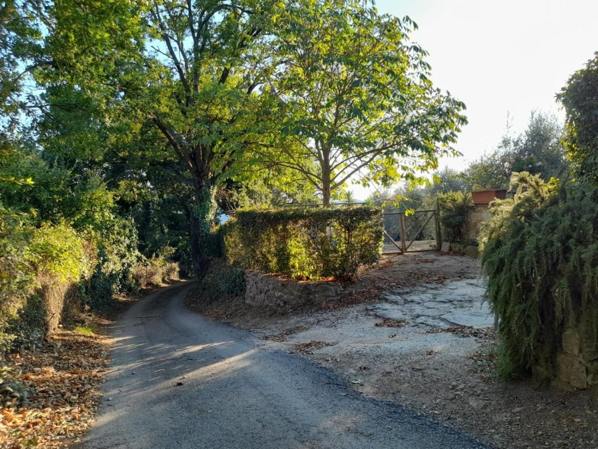 8380 Il Tiglio Verde Manciano Exteriér fotografie